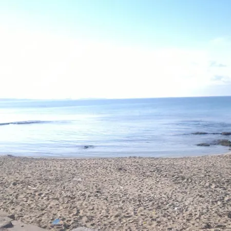 Conchiglie غالّيبولي