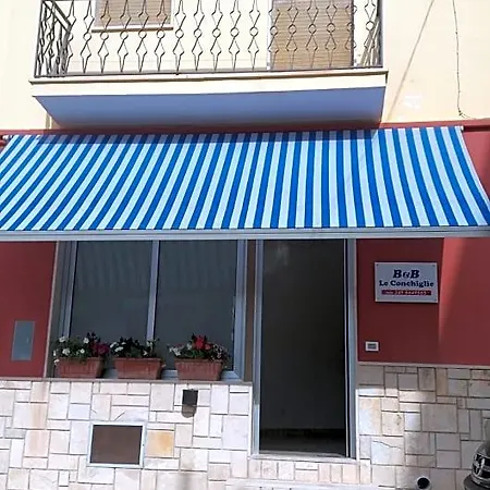 Conchiglie 3* Gallipoli