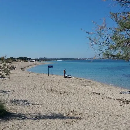 Conchiglie Couette-café