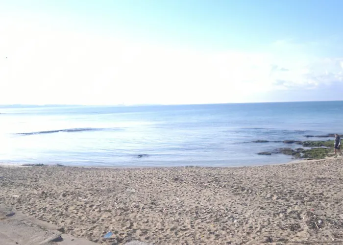 Conchiglie Gallipoli